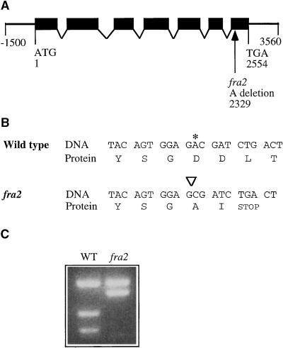 Figure 10.