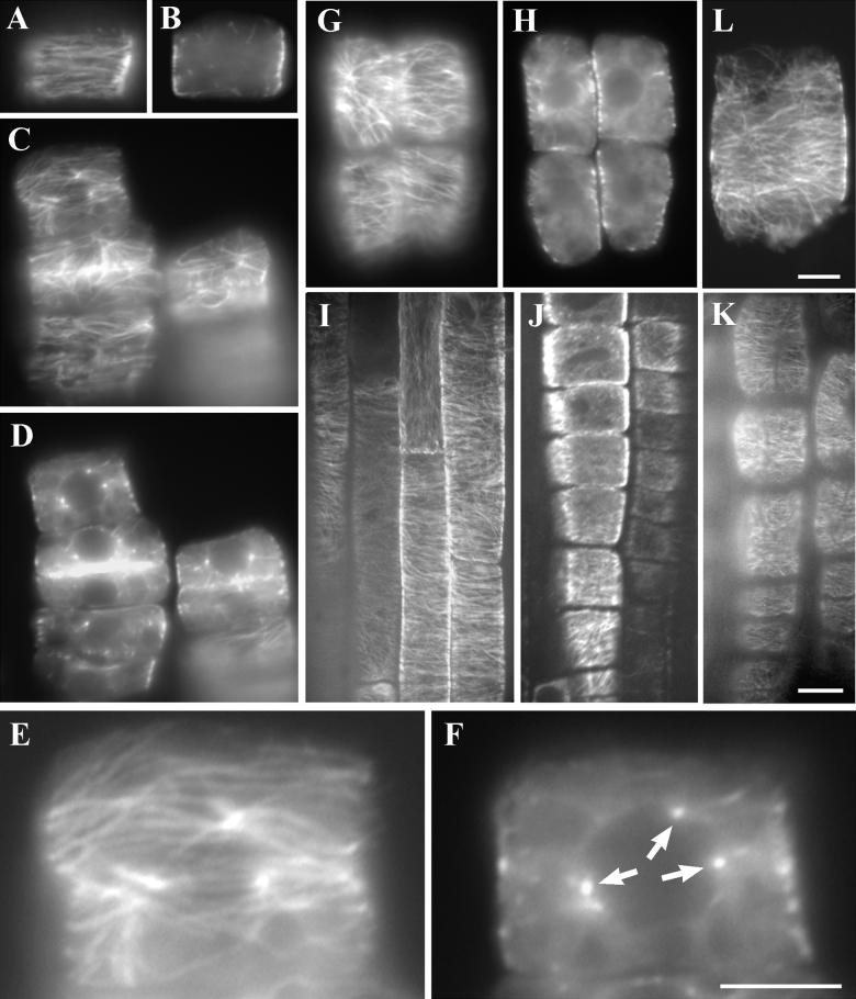 Figure 13.