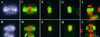 Figure 14.