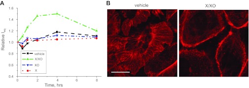 Fig. 7.