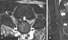 <b>FIG. 13.</b>