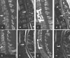 <b>FIG. 8.</b>