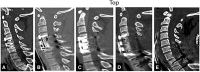 <b>FIG. 5.</b>