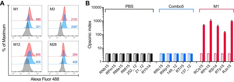 FIG 4