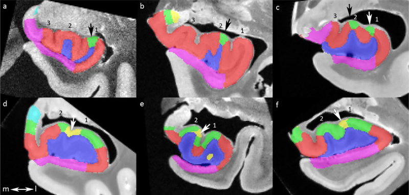 Figure 4.