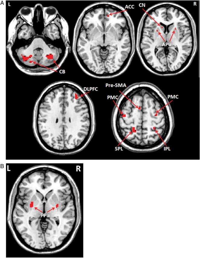 Figure 3.