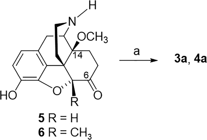 Scheme 1