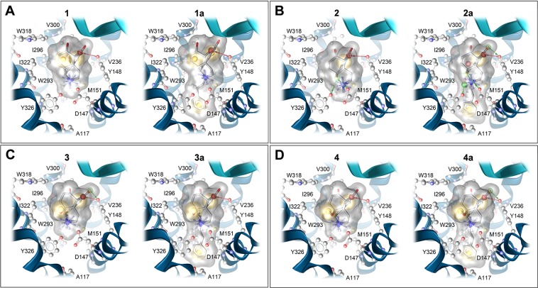 Figure 5