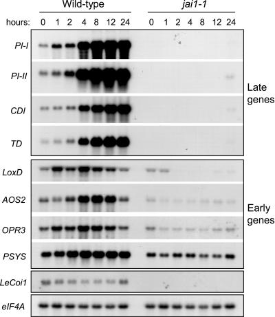 Figure 5.