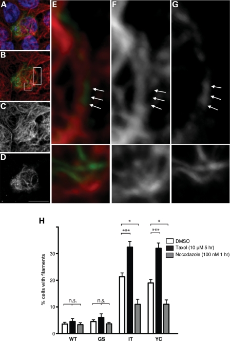 Figure 4.