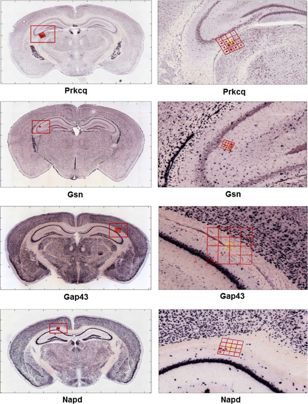 Figure 6