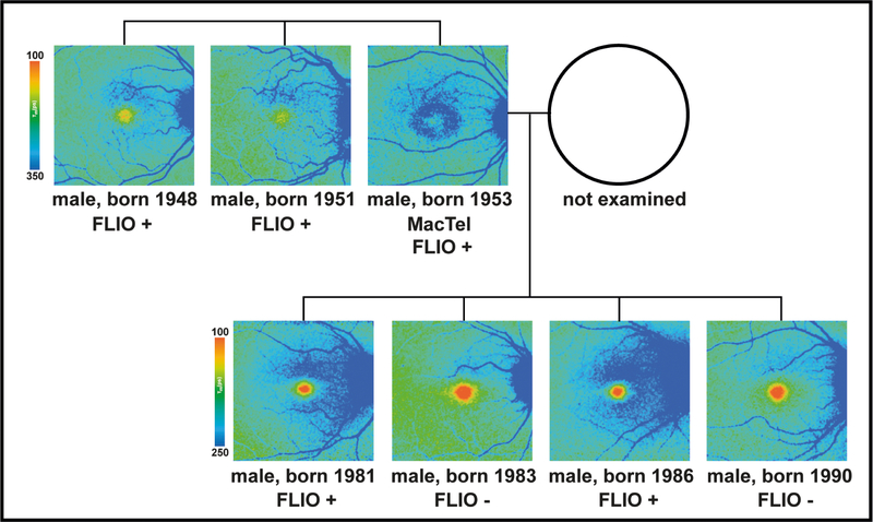 Figure 4: