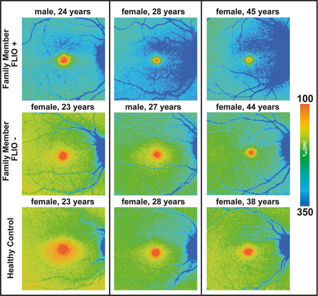 Figure 3: