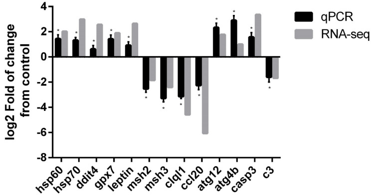 Figure 5