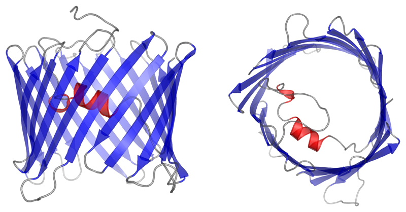 Figure 6