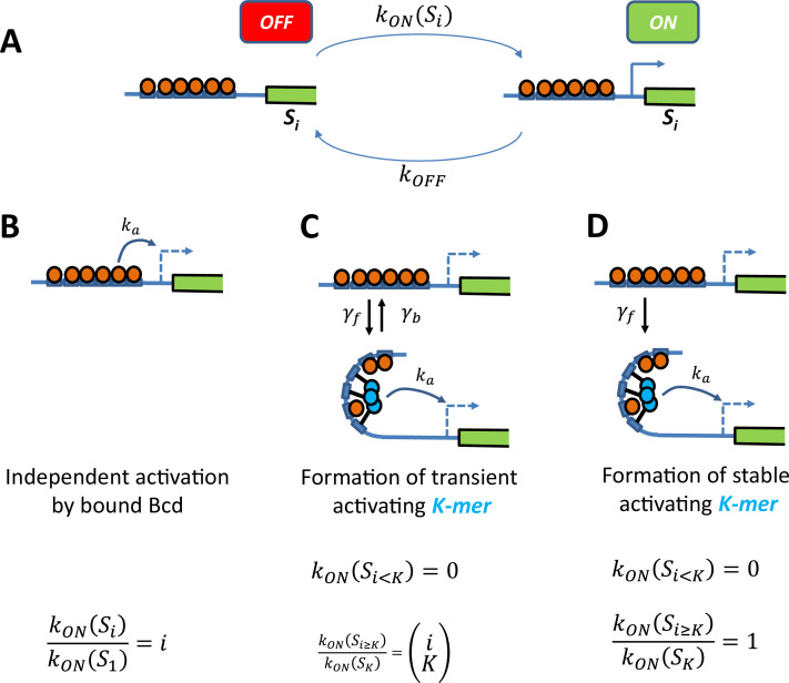 Figure 2—figure supplement 3.