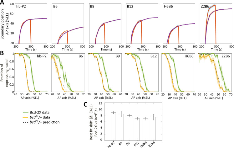 Figure 4—figure supplement 1.