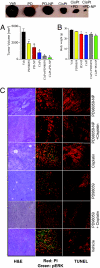 Fig. 4.