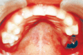 Fig. 8: