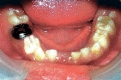 Fig. 6: