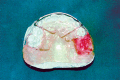 Fig. 10: