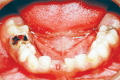 Fig. 3: