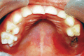 Fig. 7: