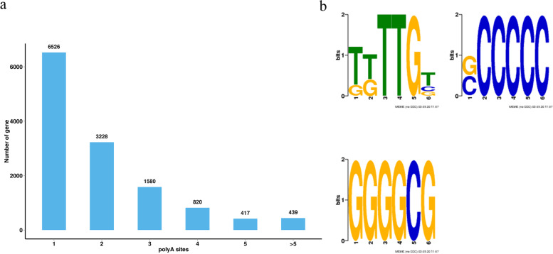 Fig. 10