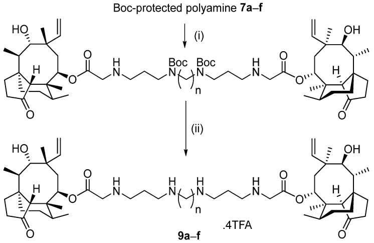 Scheme 2