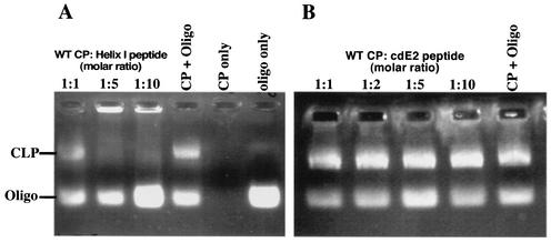 FIG. 5.