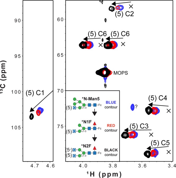 Figure 6