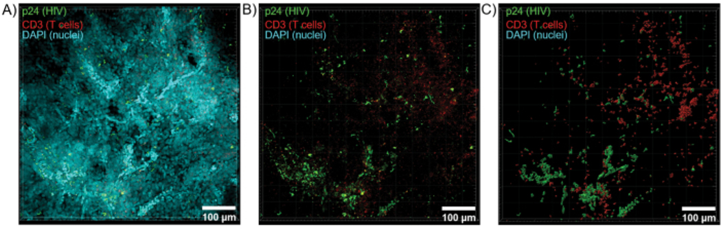 Figure 6: