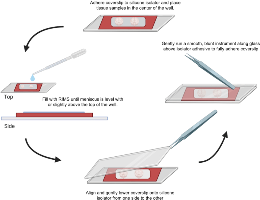 Figure 4: