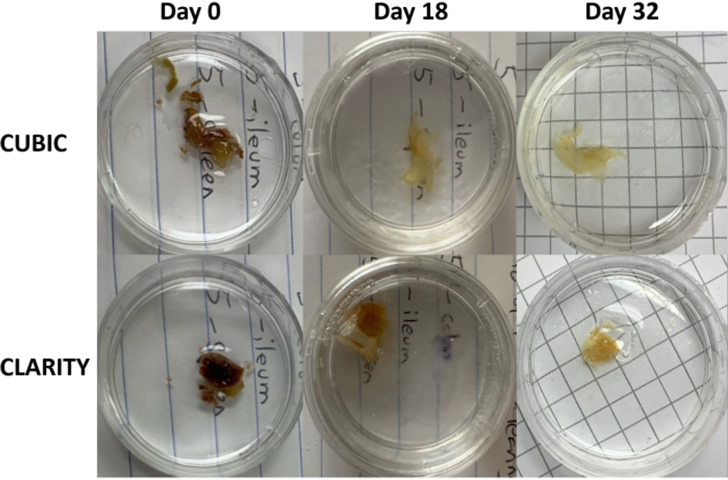 Figure 3: