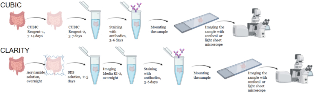 Figure 1: