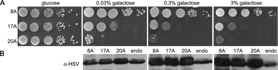 FIGURE 2: