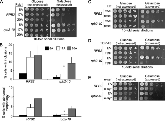 FIGURE 11: