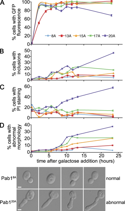 FIGURE 3: