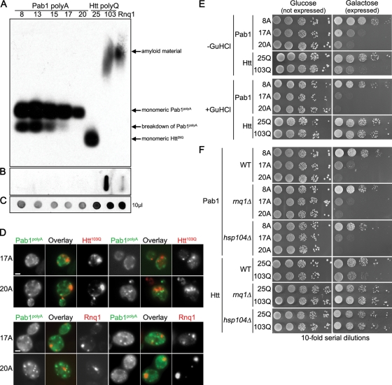 FIGURE 6: