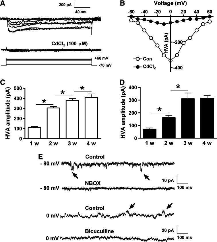 FIG. 9.