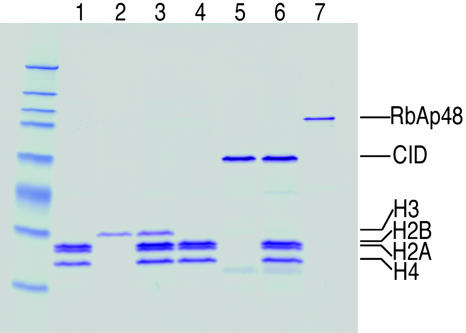 Fig. 5.