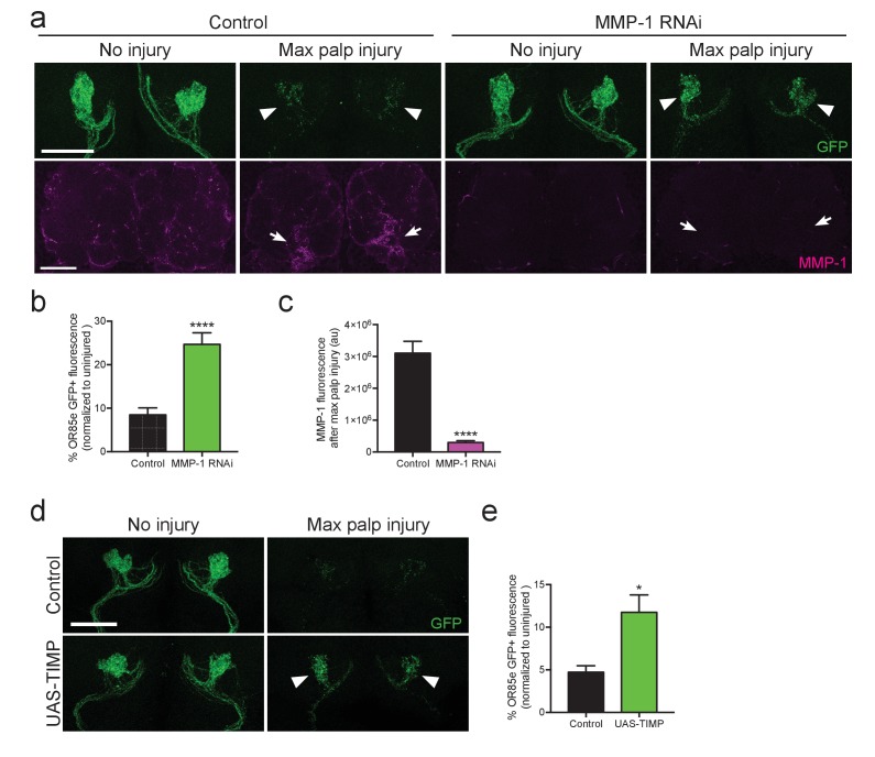 Figure 11.