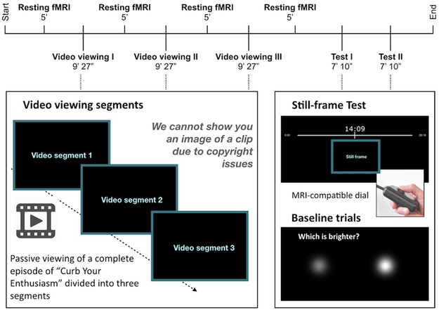 Fig 1.