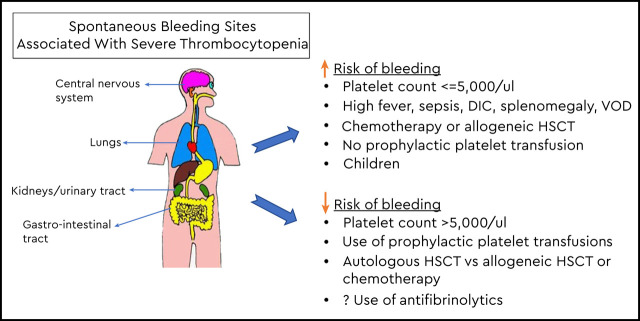 graphic file with name bloodbook-2020-518-absf1.jpg