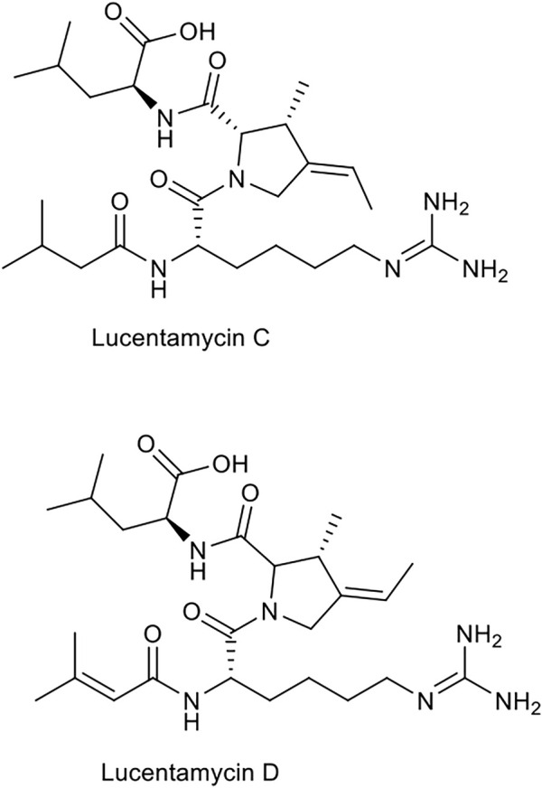 FIGURE 12