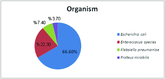 [Table/Fig-4]: