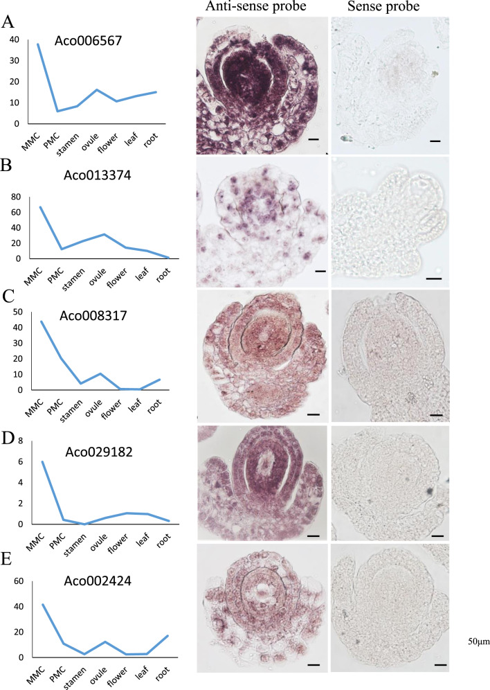 Fig. 9