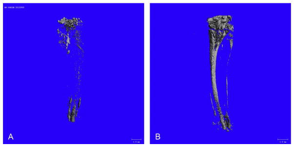 Figure 7.3