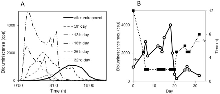 Figure 18