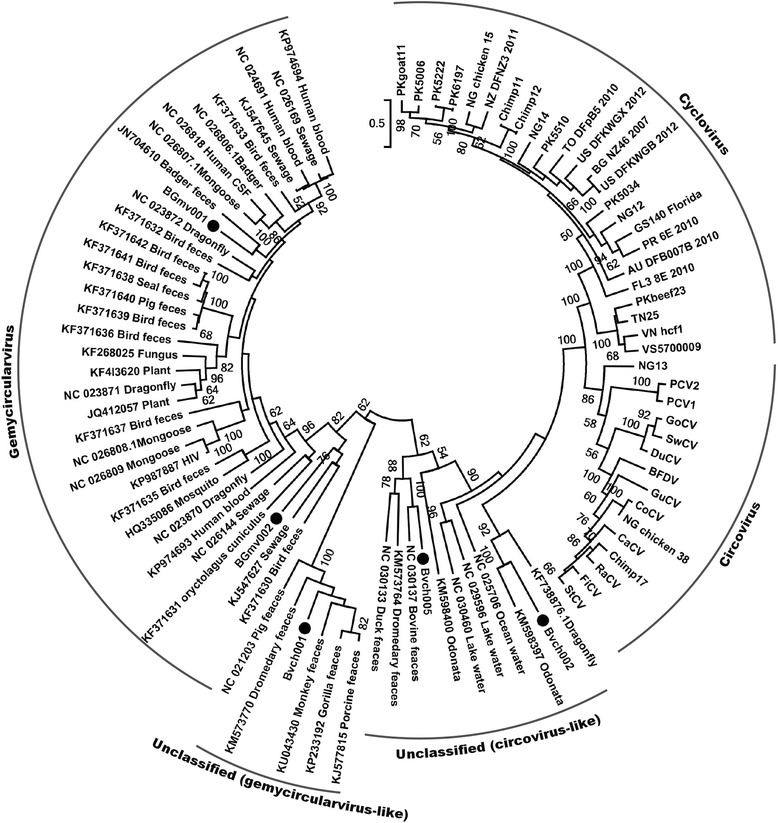 Fig. 2